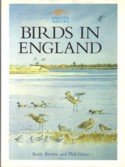 Brown, Andy / Grice, Phil - Birds in England