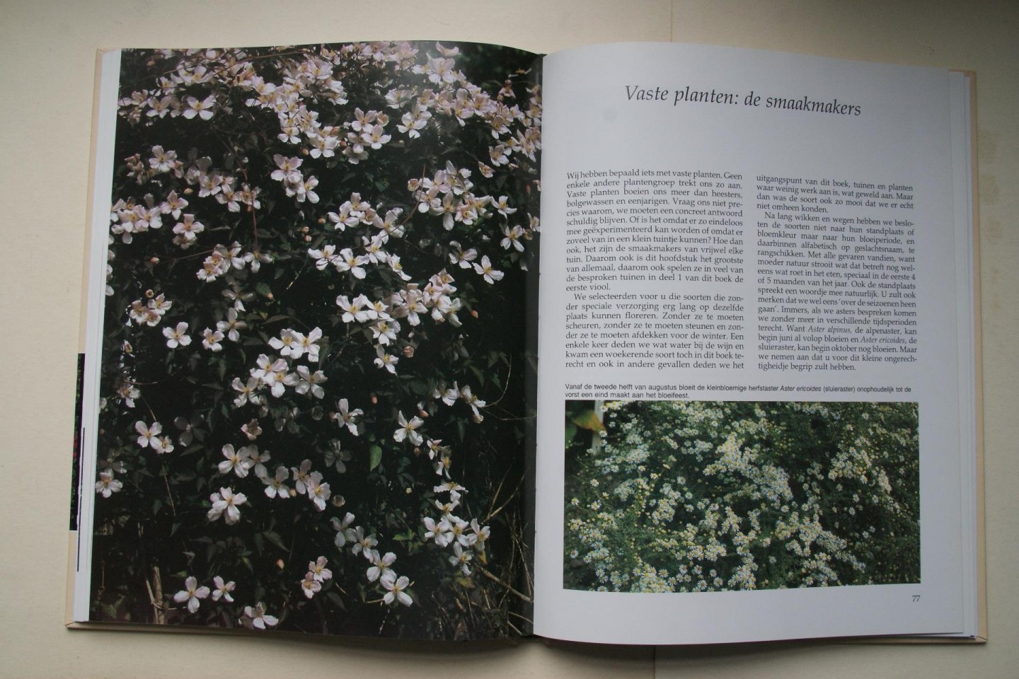 Horn, J. ten; W. Oudshoorn - De Onderhoudsvriendelijke Tuin ideeen voor ontwerp en beplanting