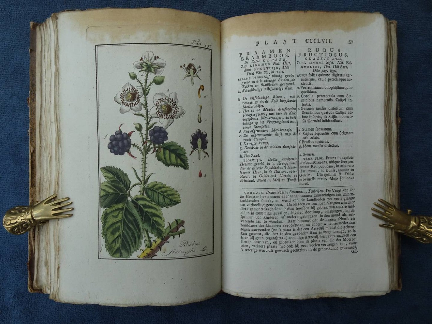 Sepp, J.C en Zoon. - Afbeeldingen der artseny-gewassen met derzelver Nederduitsche en Latynsche beschrijvingen. Vierde deel.