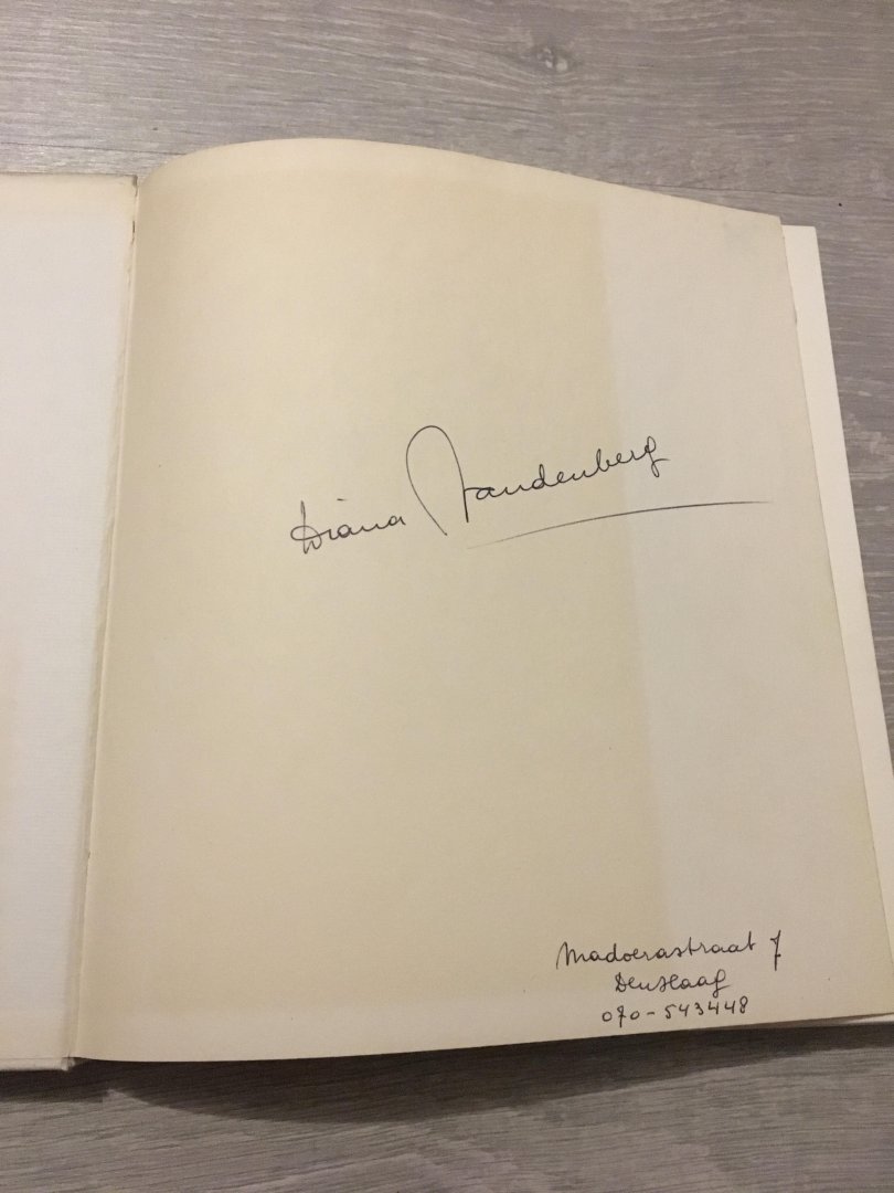 Dr. J. Stellingwerff - De Hermetische Schilderkunst van Diana Vandenberg