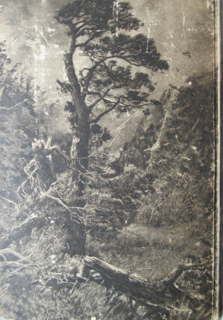 Nansen, F - Siberien ein Zukunftsland