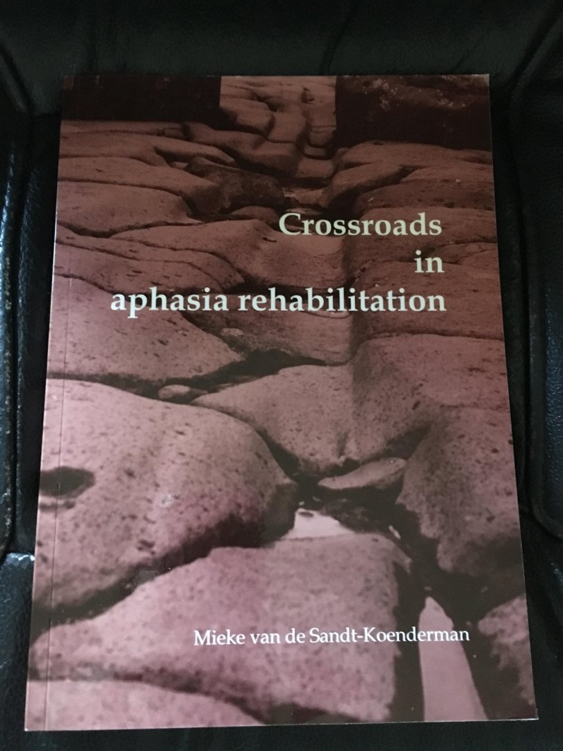 Sandt-Koenderman, M. van de - Cross roads in aphasia rehabilitation / druk 1