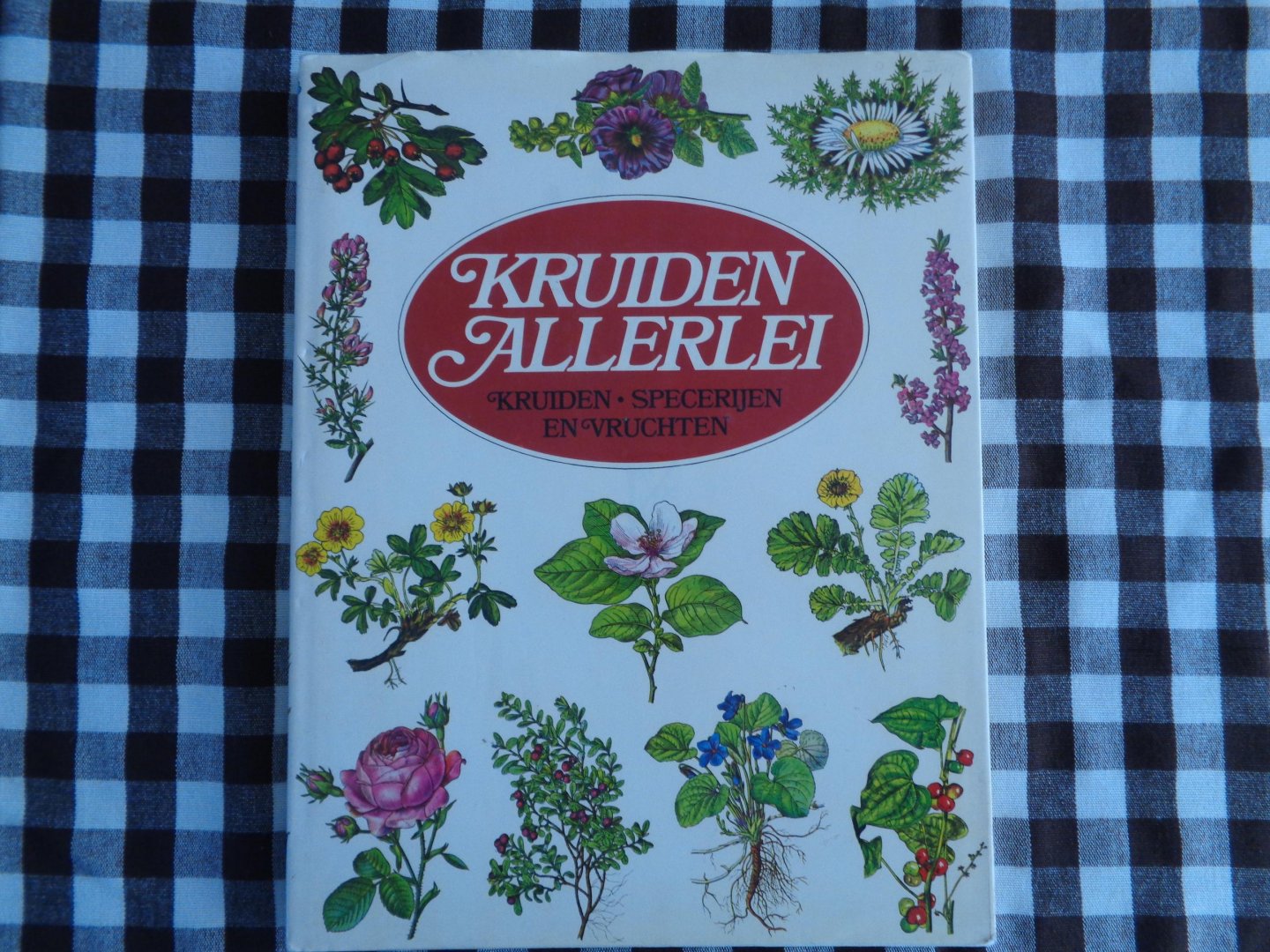 Fluck - Kruiden allerlei