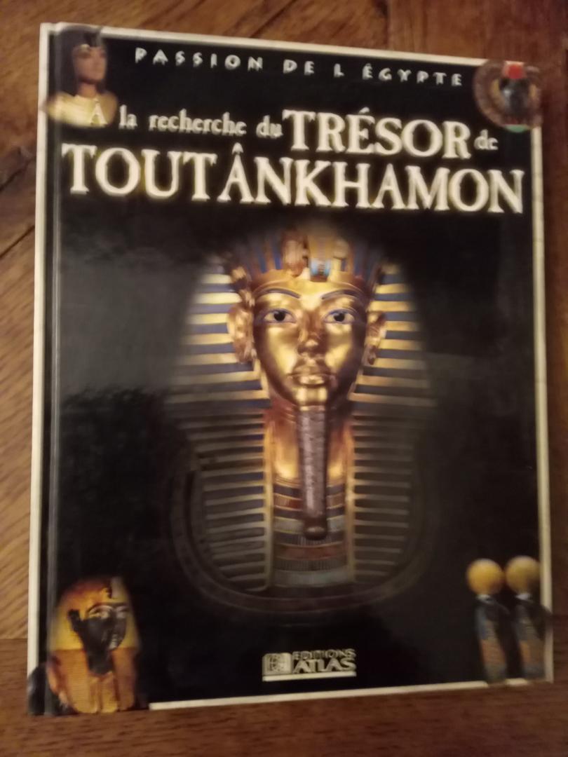 diversen - Passion de l'Egypte: À la recherche du trésor de Toutankhamon