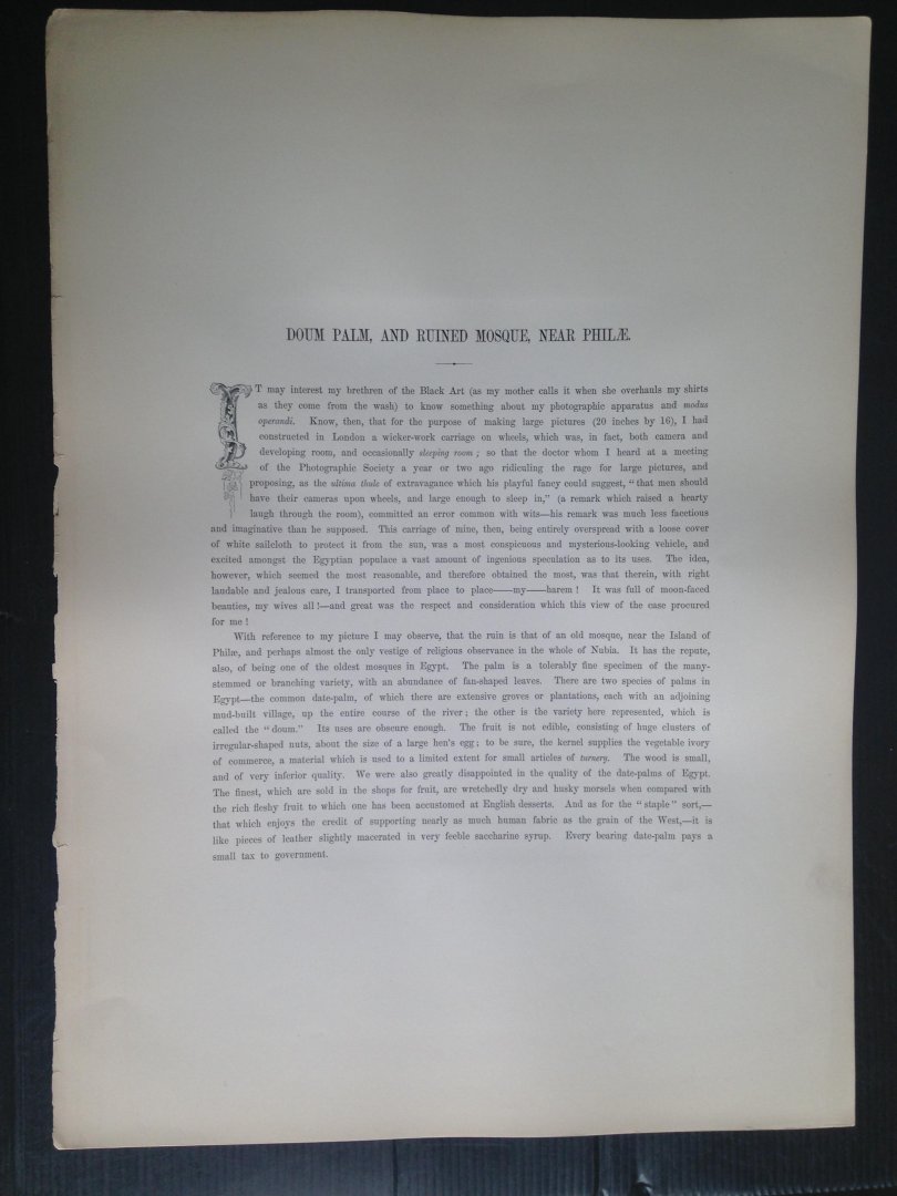 Frith, Francis - Doum Palm and Ruined Mosque, Series Egypt and Palestine