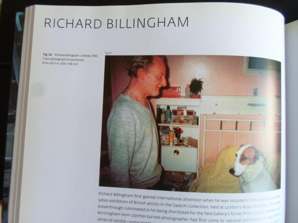 Sultan, Terrie & David Pagel, Colin Gardner, Claudia Schmuuckli - Damaged Romanticism, A Mirror of Modern Emotion