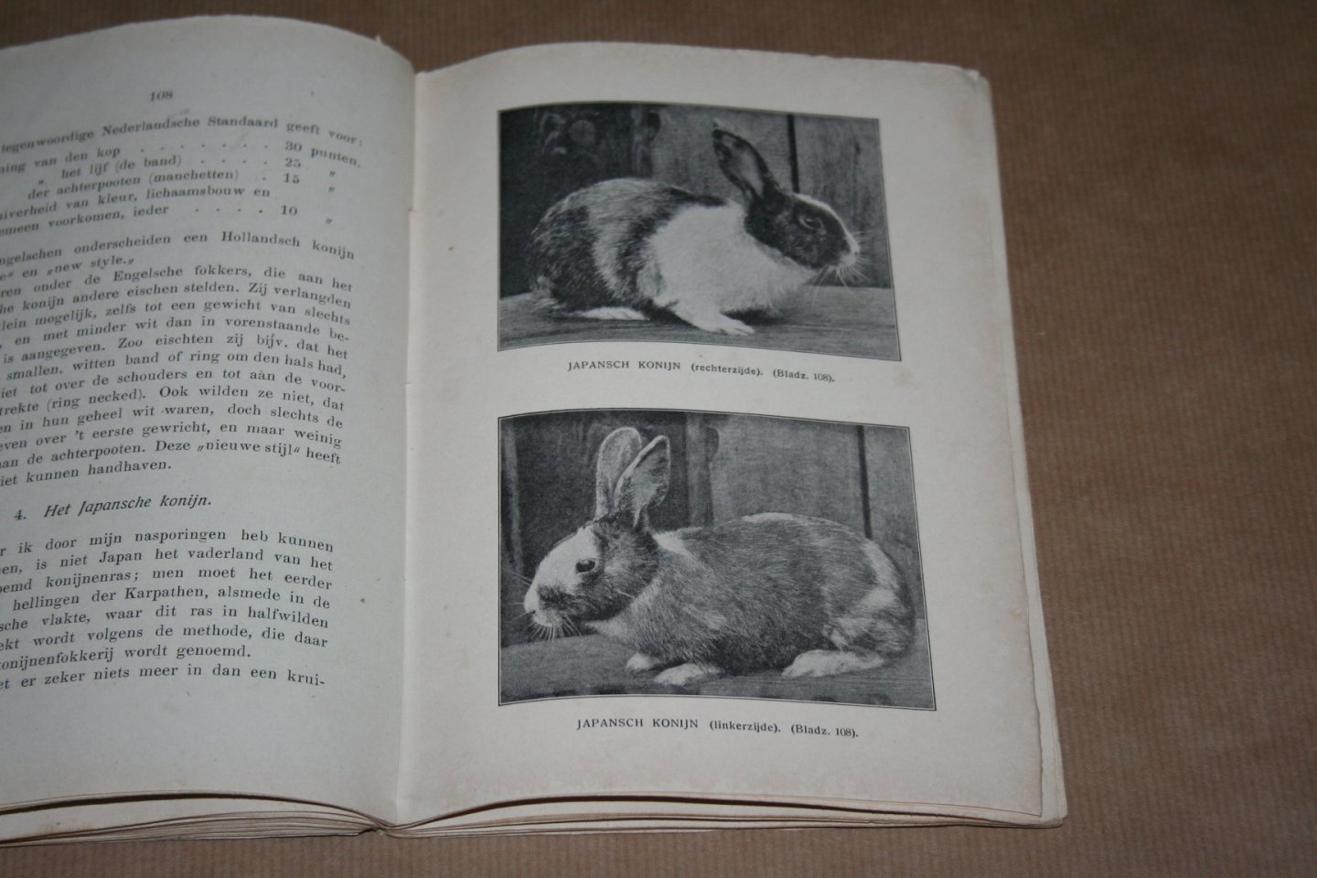 J.H. Beekman - De Konijnenteelt --  Verzorging en verpleging van het konijn
