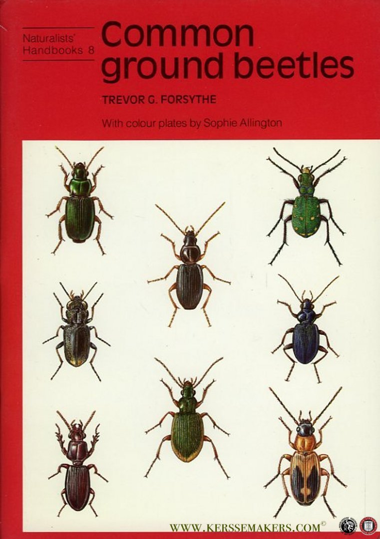FORSYTHE, Trevor - Common Ground Beetles