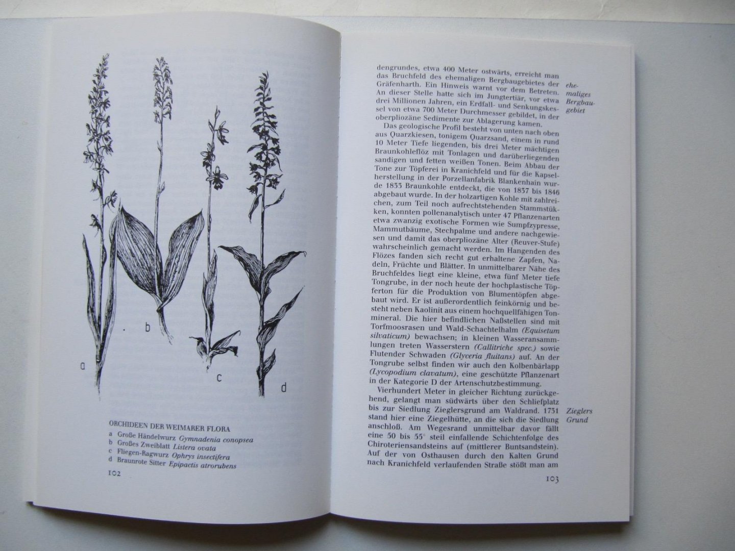 Wolfgang Heinrich u.a. - Wanderungen um Weimar