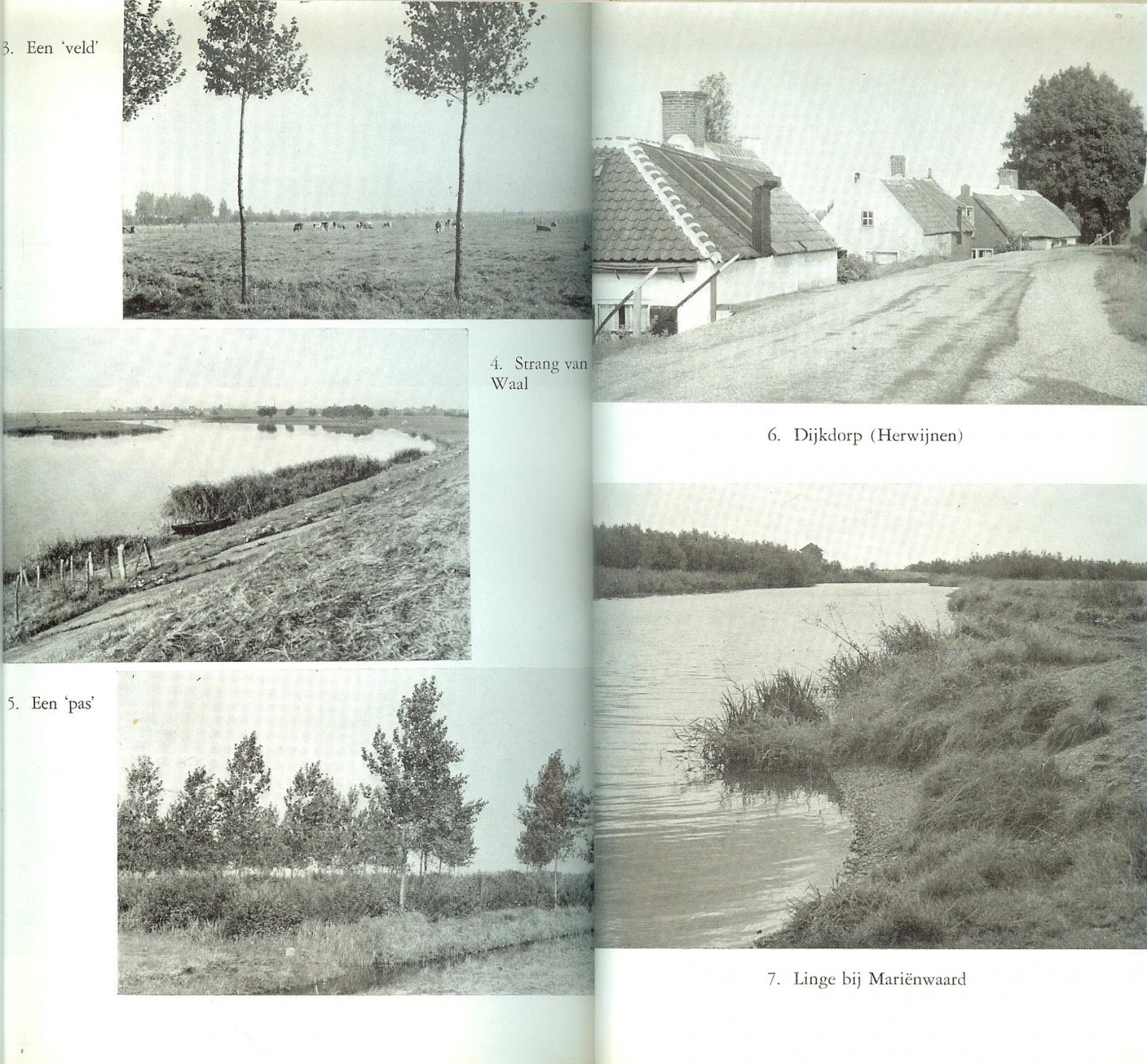 Hol Dr. A.R. Redactie Dr. P.J. Meertens en Dr Roukens - De Betuwe. Als men onze vaderlandse geschiedenis laat beginnen in de tijd, waaruit de eerste geschreven berichten omtrent ons land zijn overgeleverd, dan komt dadelijk de Betuwe ter sprake. Dat de Bataven zich hebben neergezet in de landstreek,