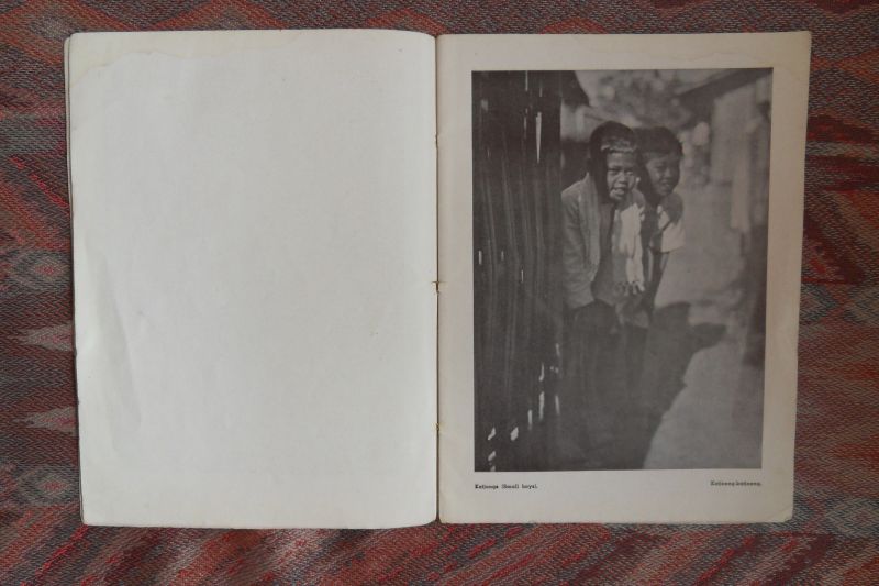 Dorp, G.C.T. van (uitgever/produktie). - Roepa-Roepa Gambar dari Djawa-Bali dan Soematra. vrije vertaling: Tekening van het leven van Java-Bali en Sumatra.