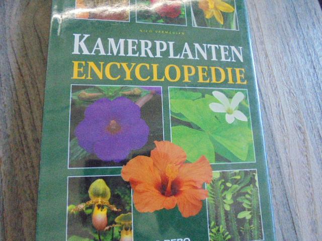 Vermeulen, N. - Geillustreerde kamerplanten encyclopedie