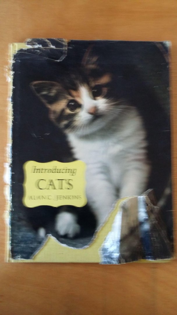 Alan C.Jenkins - Introducing Cats