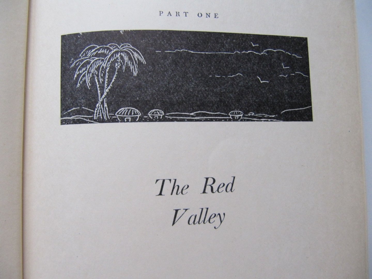 Sudhin N. Ghose - Cradle of the Clouds