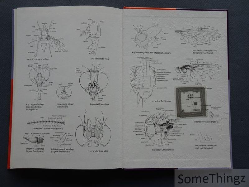 P. Oosterbroek, Hanneke de Jong, L. Sijstermans. - De Europese families van muggen en vliegen (Diptera) : determinatie, diagnose en biologie.