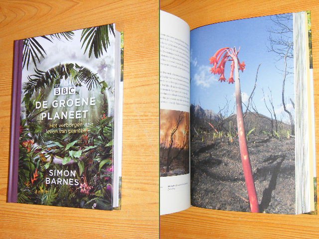 Barnes, Simon - De groene planeet. Het verborgen leven van planten