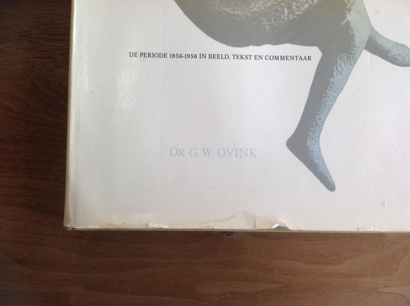 Dr. G. Ovink - Het aanzien van een eeuw