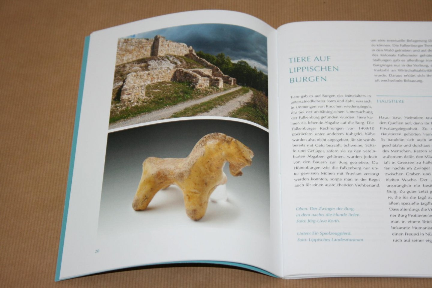 Frank Huismann - Falkenburger Geschichten