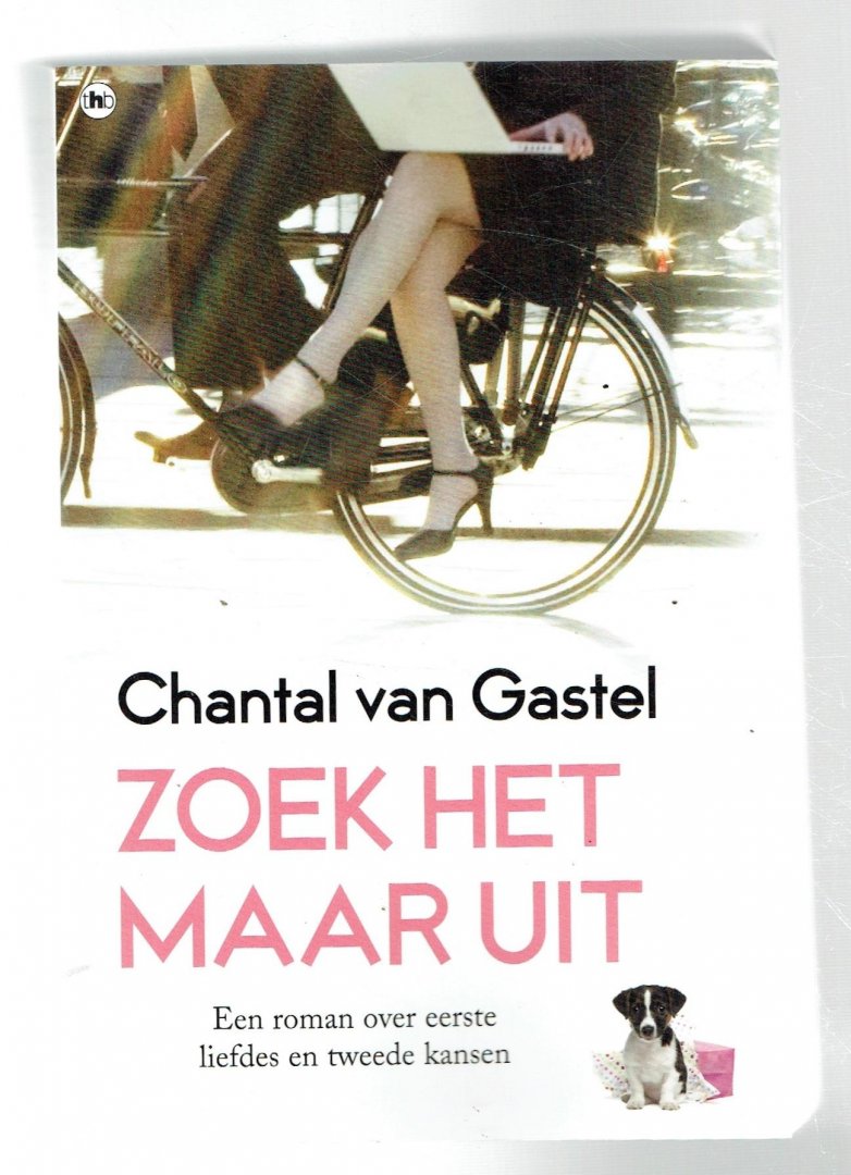 Gastel, Chantal van - Zoek het maar uit / een roman over eerste liefdes en tweede kansen
