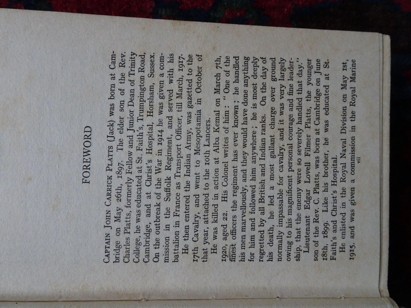 Platts, Jessie - THE WITNESS Written down by Jessie Platts