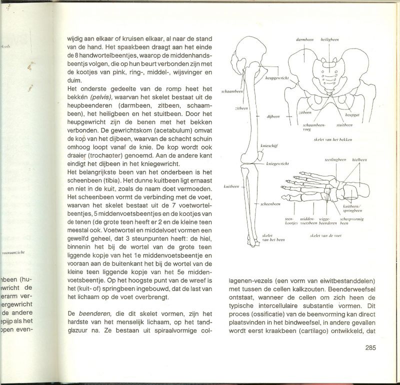 GERHARD LEIBOLD  met tekeningen van M. Wosczyna - het grote handboek der NATUURGENEESWIJZE  ** nerveuze en psychische stoornissen ** en veel mooie  foto's zoals Houtsnede van een middeleeuwse badscene uit de 16e eeuw en Kaasjeskruid [malva]ets , gekleurd door P.Haas,1809