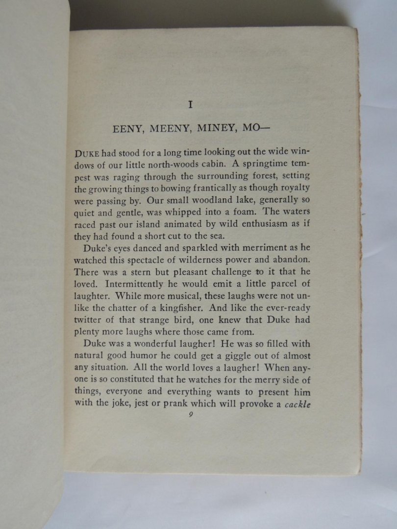 Sam Campbell - Eeny, Meeny, Miney, Mo-and Still-Mo : lessons in living from five frisky red squirrels