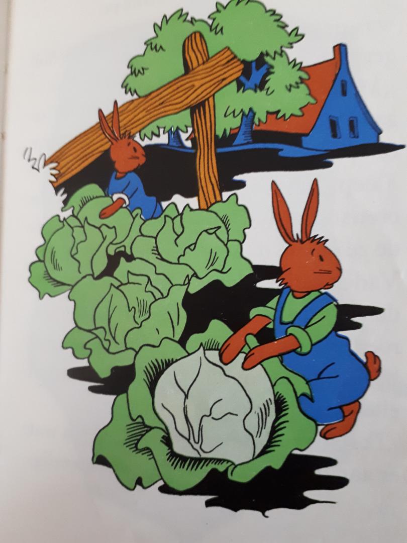 Cramer-Schaap, D. A. - Het konijnenboekje, van een ondeugend hondje en een dapper konijntje