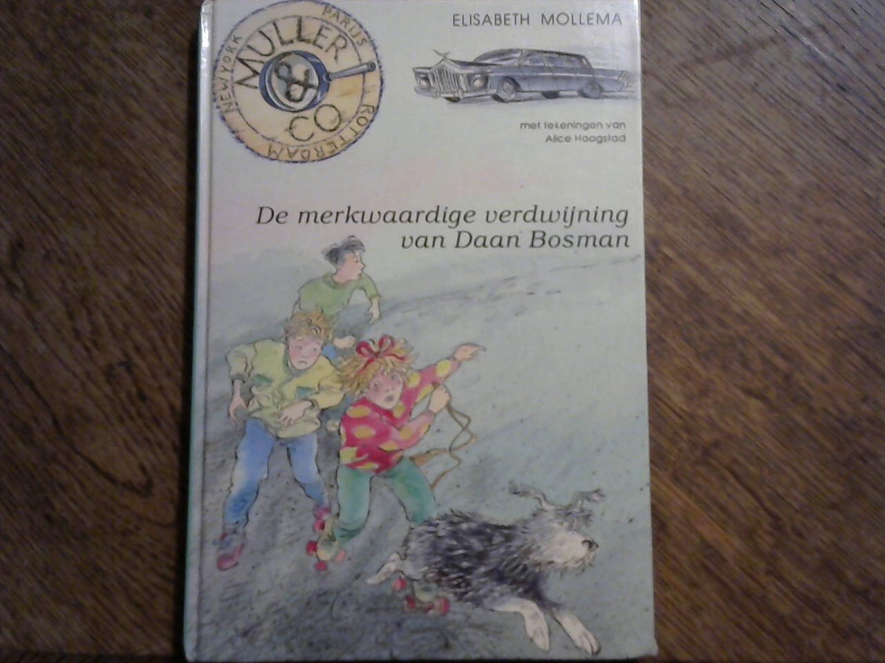 Mollema Elisabeth / tekeningen Alice Hoogstad - De merkwaardige verdwijning van Daan Bosman