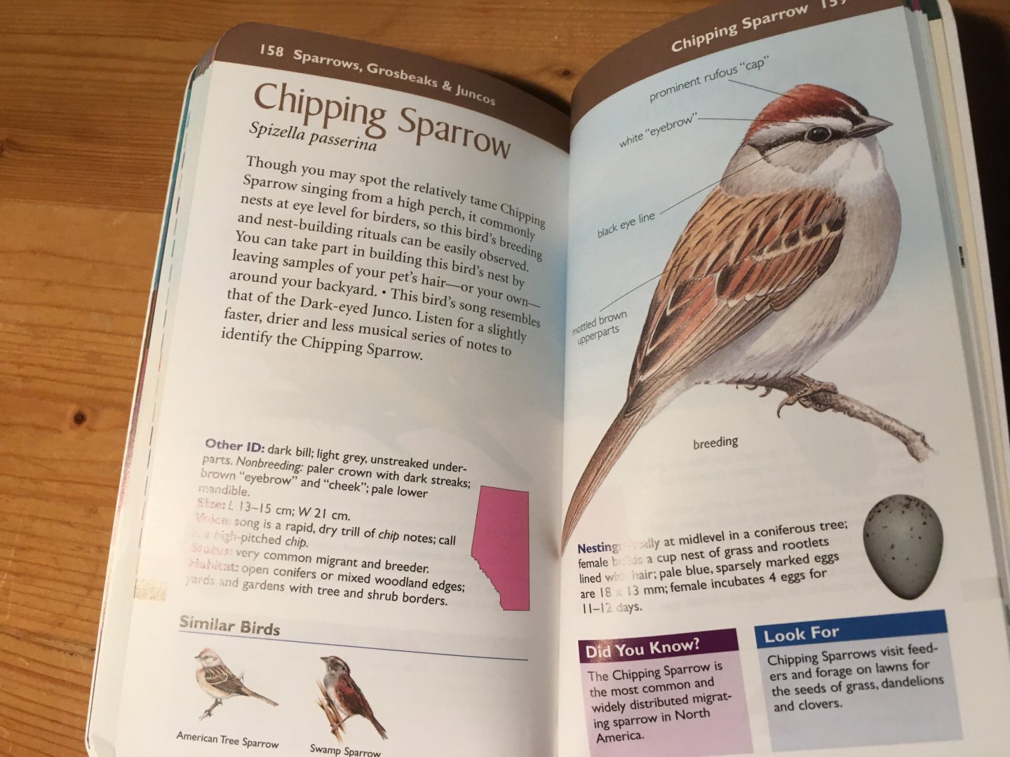 Acorn, Fisher, Bezemer - Alberta Birds, Compact Guide to