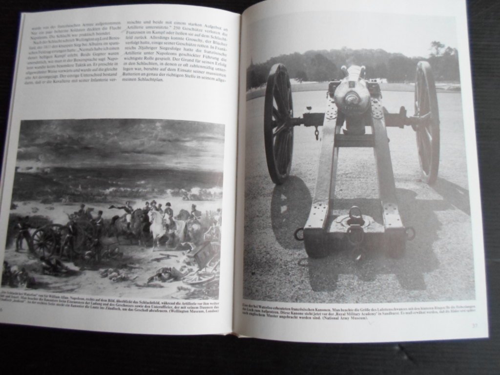 Wilkinson-Latham, Robert - Napoleons Artillerie, Armeen und Waffen Band 8