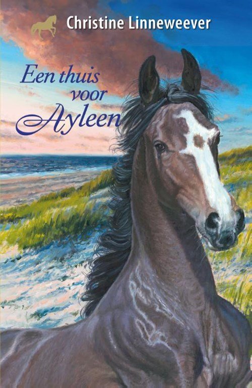Christine Linneweever - Een thuis voor Ayleen