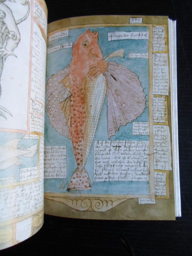  - De Verdieping van Nederland, Duizend jaar Nederland aan de hand van topstukken uit de Koninklijke Bibliotheek en het Nationaal Archief