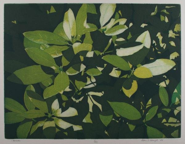 Liempt, Hans van. - Topje Rhodo. HL03184.