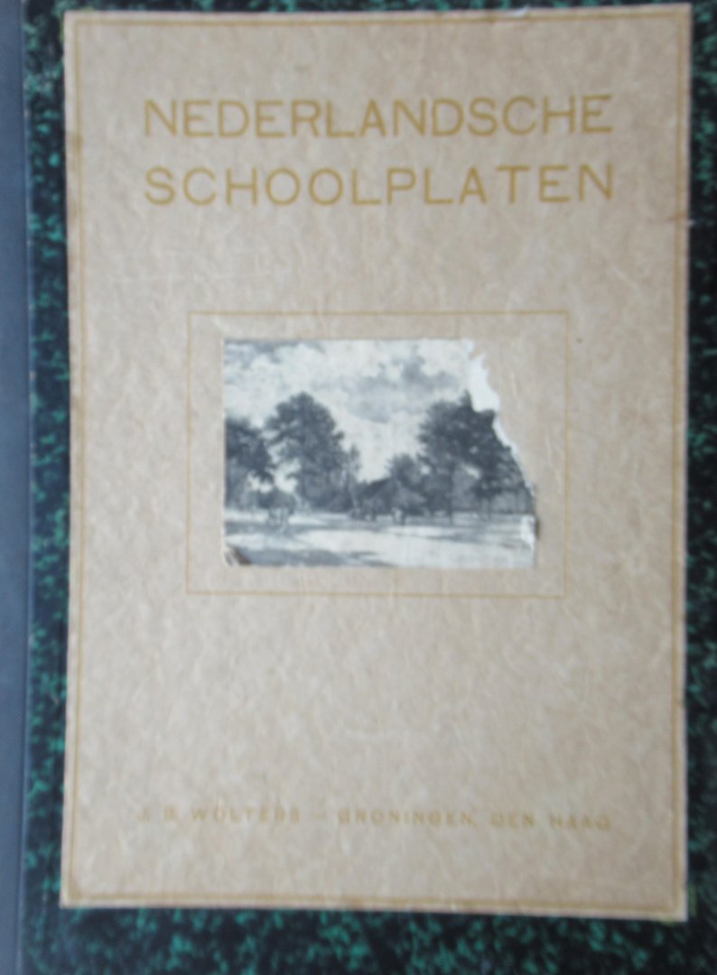 Diverse auteurs - Nederlandsche schoolplaten