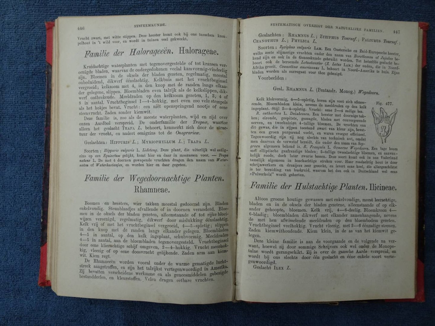 Seubert, Moritz. - De plantenkunde, algemeen bevattelijk voorgesteld door dr. Moritz Seubert.