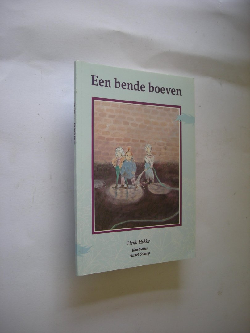 Hokke, H./ Schaap, A. illustraties - Een bende boeven