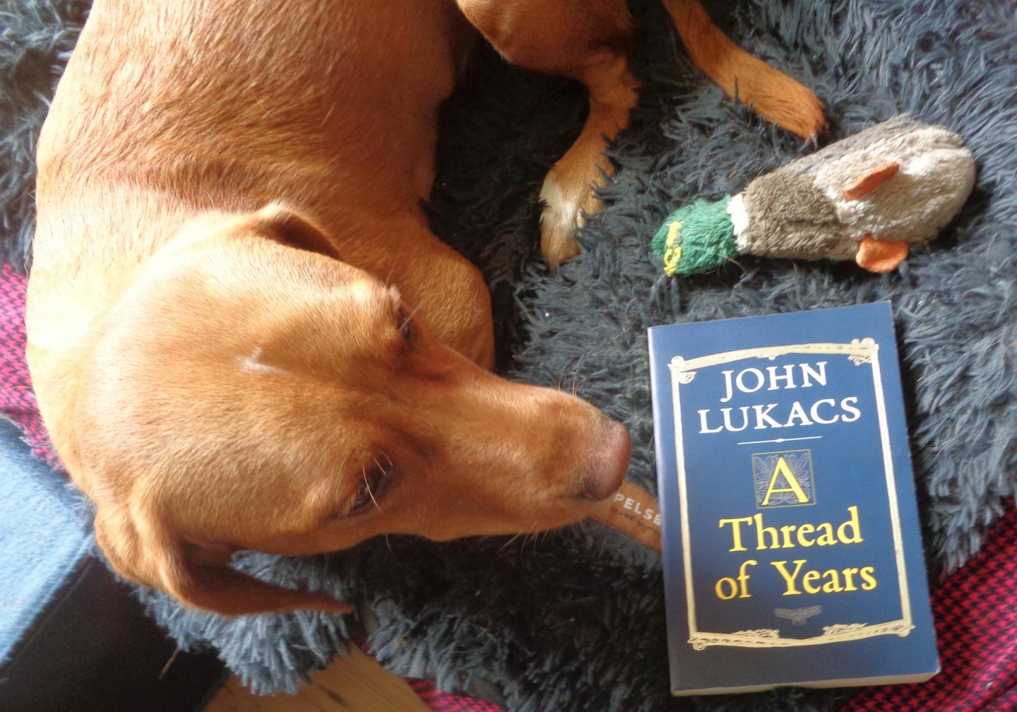 Lukacs, John - A Thread of Years