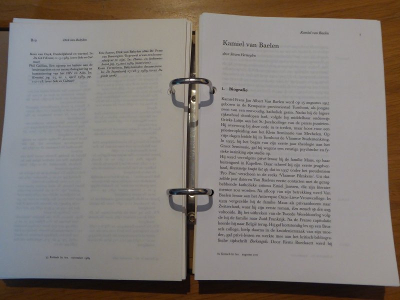 Vermeylen, Steven - Kamiel van Baelen (uit: Kritisch Literatuur Lexicon)