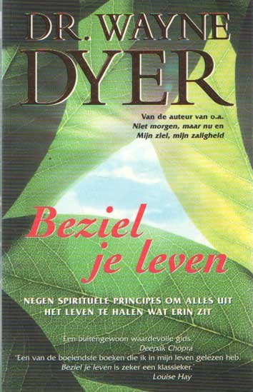 Dyer, Wayne - Beziel je leven. Negen spiritruele principes om alles uit het leven te halen wat erin zit