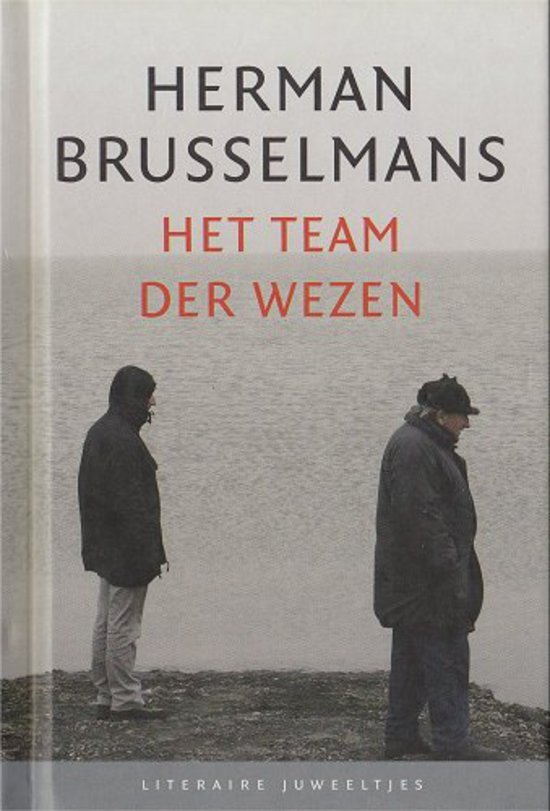 Herman Brusselmans - Het team der wezen