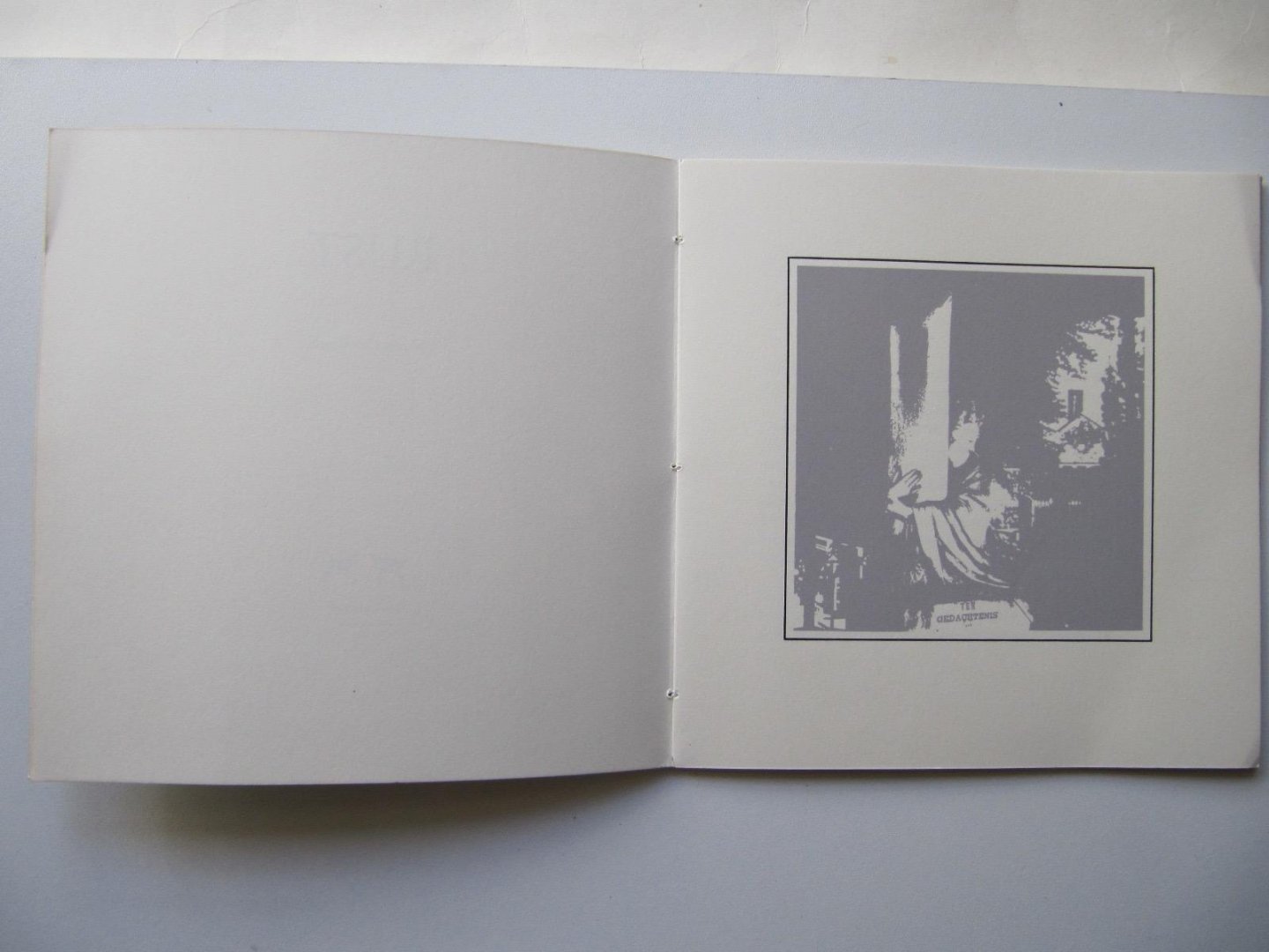 Simon Carmiggelt - Rust