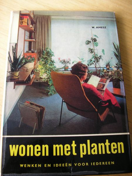 Amesz, W.  Vakonderwijzer bloemsierkunst fotogrf A. Dingjan - Wonen met planten, wenken en ideeën voor iedereen