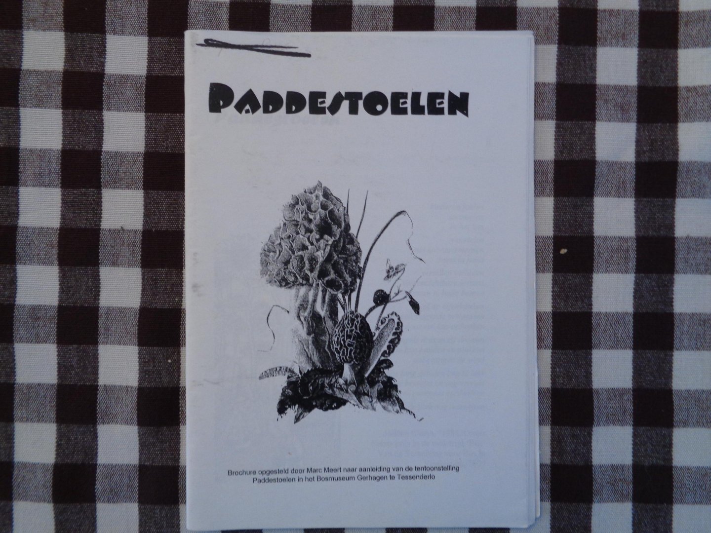 marc meert - paddestoelen