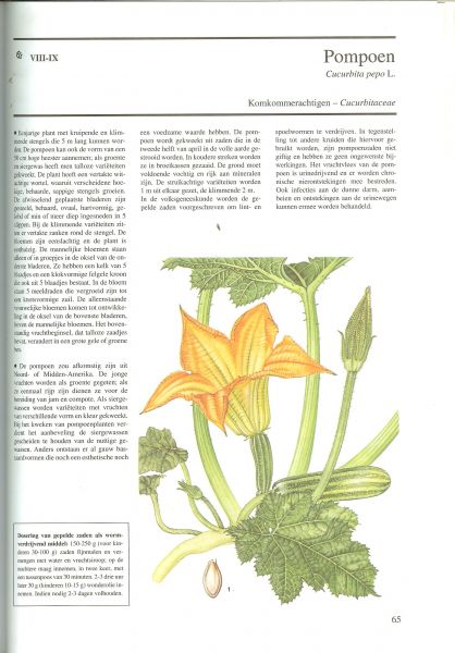 Prihoda, Antonin .. Redactie : Anita Middel  omslag van Ton Wiebelt  de vertaling is van Nannie Nieland - Weits - Geneeskrachtige Planten .. Vroeger en nu , met prachtige kleuren illustraties  om boek om in te grasduinen