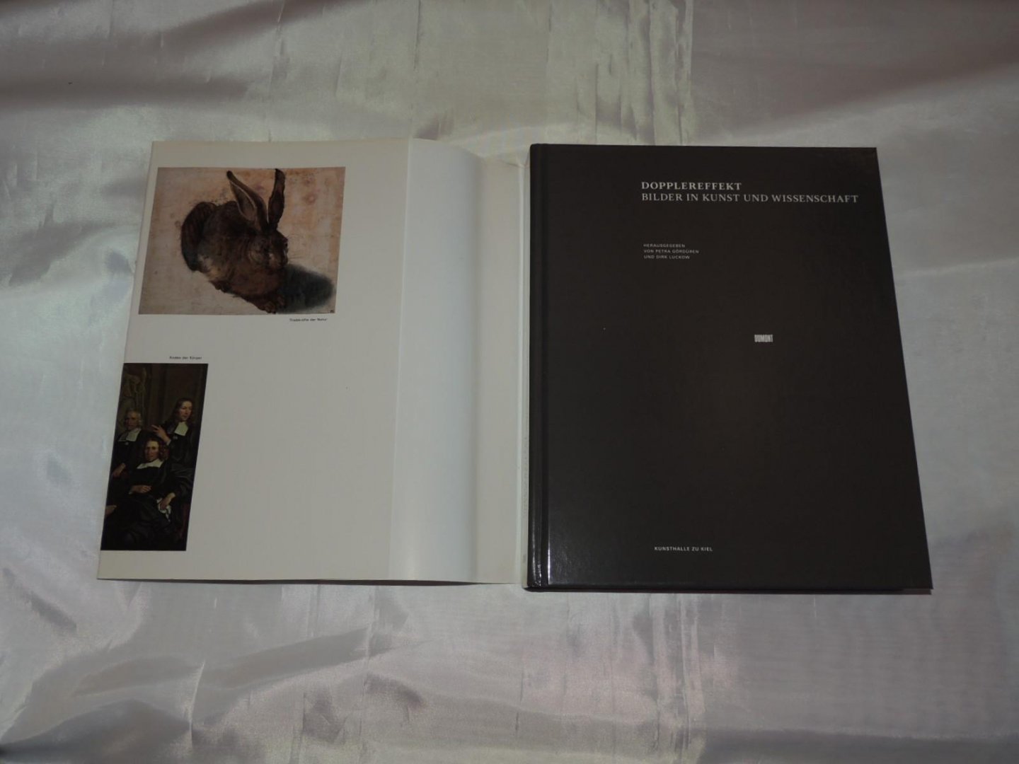 von Dirk Luckow - Petra Gördüren - Dopplereffekt. Bilder in Kunst und Wissenschaft