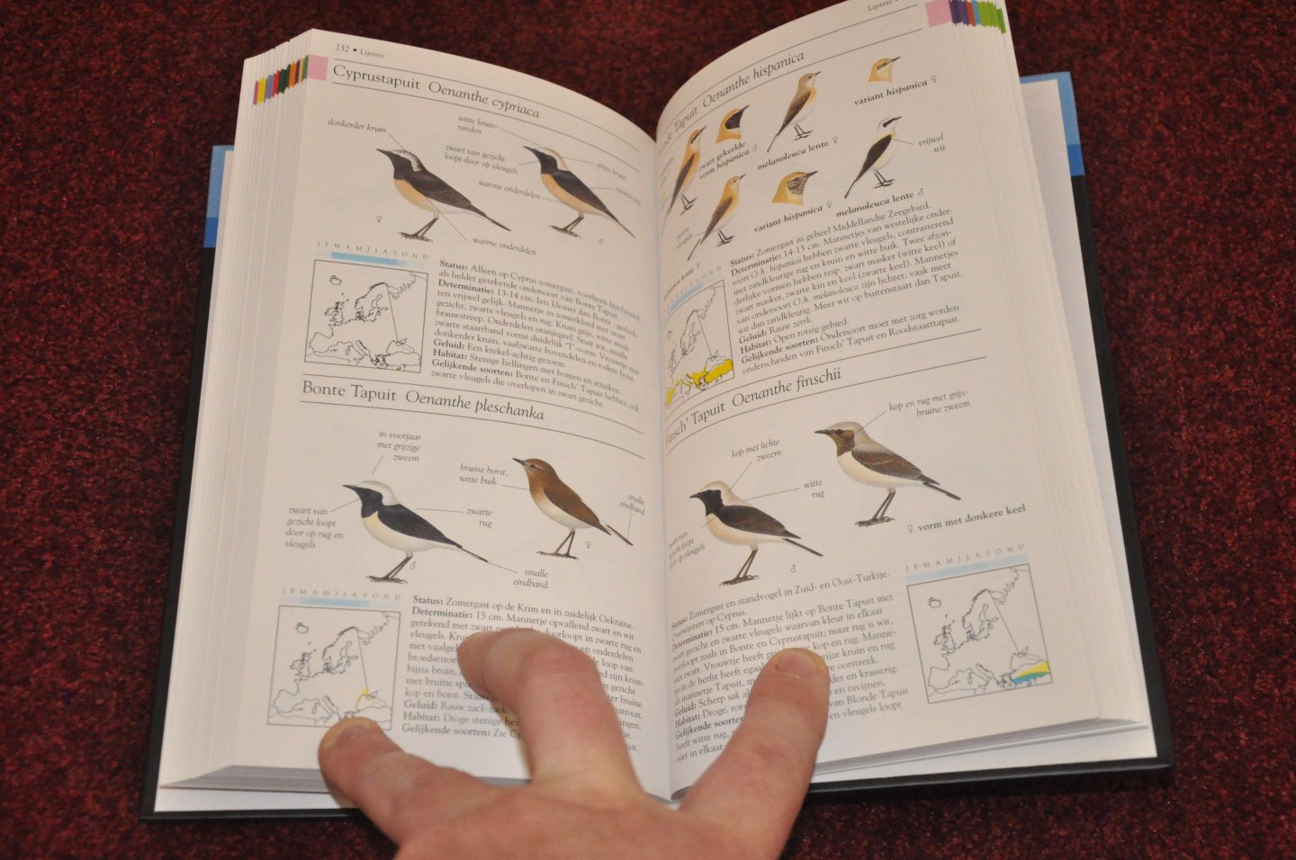 Gooders, John - Veldgids voor de vogels van Europa