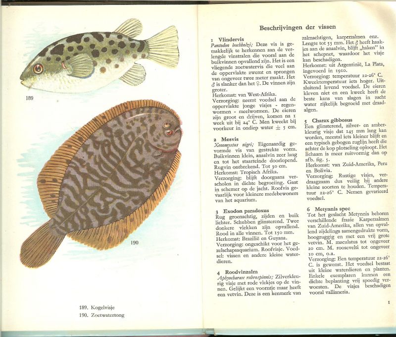 Postma Dr.W. & Jos Rutting met 190 Illustraties  van N. Norvil - Aquariumvissen in kleuren