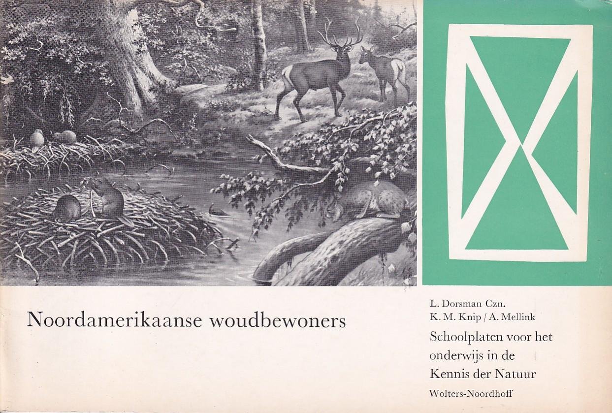 Blijdestijn, J.P. van (herz. tekst) - Noordamerikaanse woudbewoners [Schoolplaten voor het onderwijs in de Kennis der Natuur, 2e serie, nr. 7]