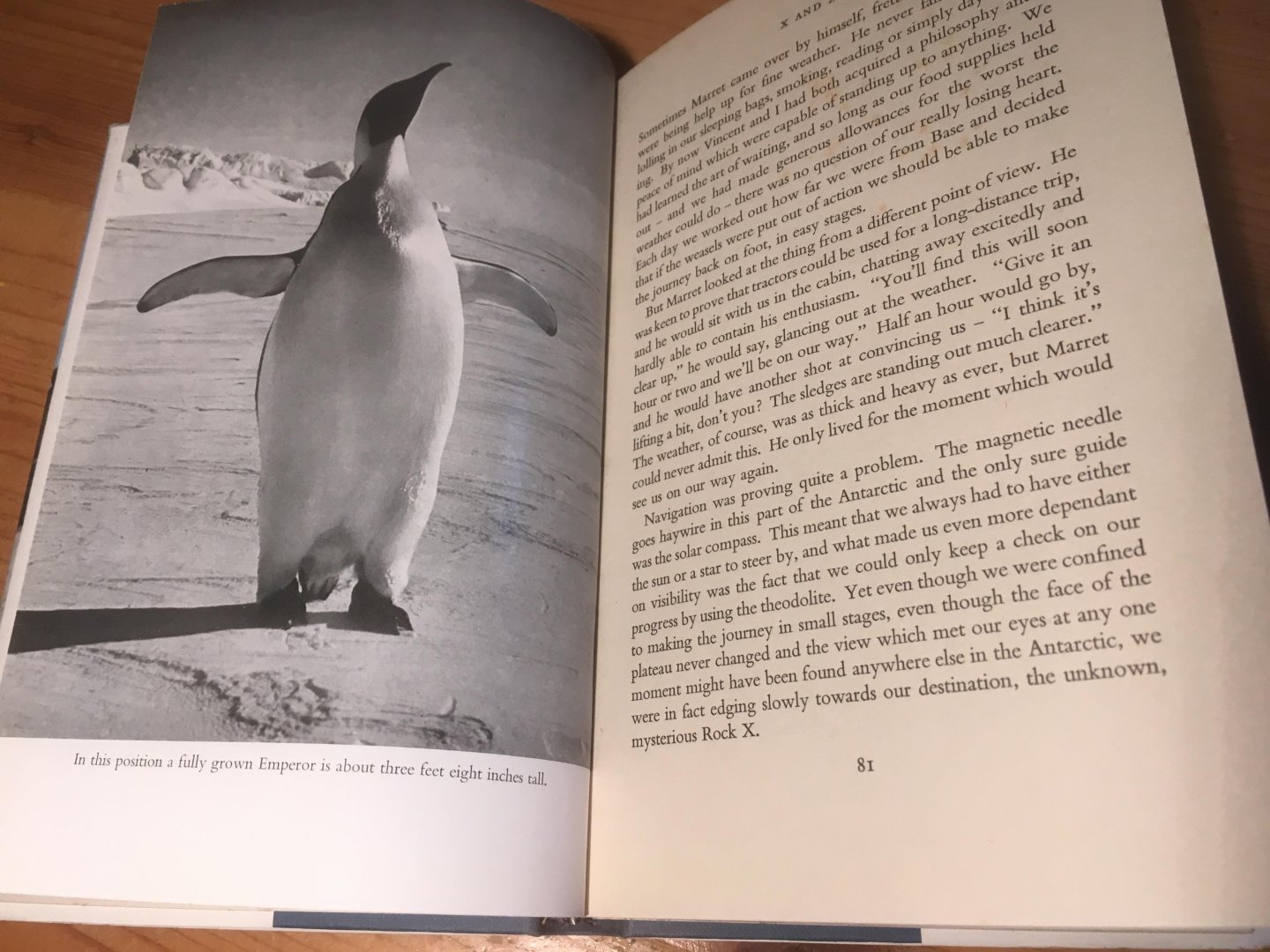 Rivolier, Jean - Emperor Penguins