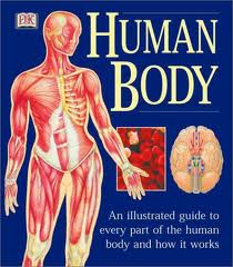 Baggaley, Ann - Human Body - an illustrated guide to every part of the human body and how it works